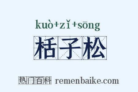 栝子松是什么意思的图片